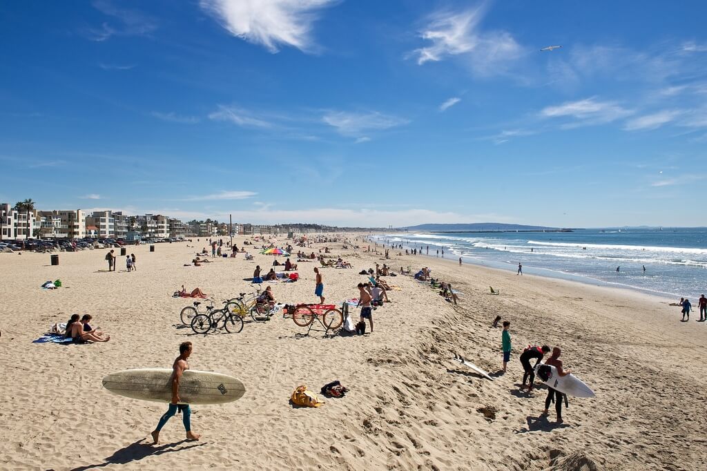 surfing venice beach